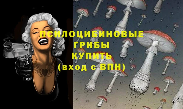 амф Михайловка